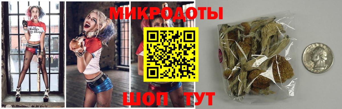Галлюциногенные грибы Cubensis Тимашёвск