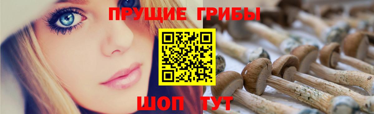 Галлюциногенные грибы Magic Shrooms  Галлюциногенные грибы прущие грибы  Тимашёвск  Вход с VPN 